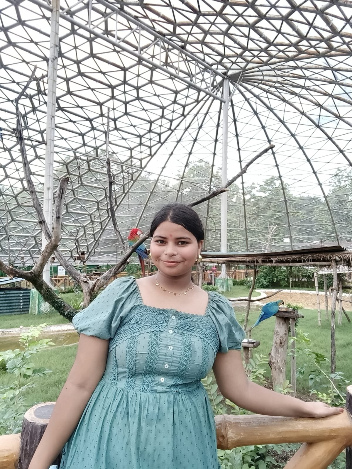 MADHU KUSHWAHA - Mathematics